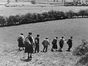 Rambling: RAMBLERS 1950S
