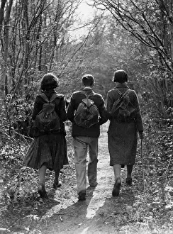 Rambling: THREE RAMBLERS