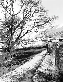 Rambling: RAMBLING IN WALES