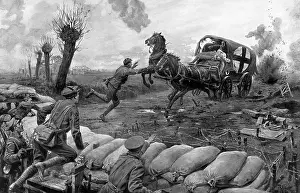 Willows: With the RAMC on the Western Front, WW1
