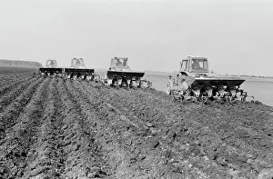 Zhigailov: Ramensky Agroindustrial Complex