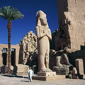 Nofret: RAMESES II COLOSSUS