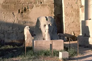 1212: RAMESES II/LUXOR STATUE
