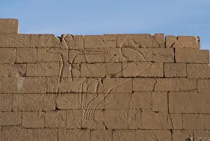 Mortuary: Ramesseum. Pharaoh in a chariot during a battle. Relief. Egy