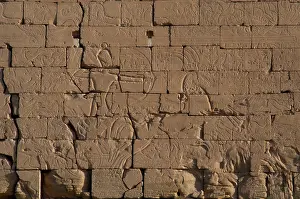 Mortuary: Ramesseum. Pharaoh in a chariot during a battle. Relief. Egy