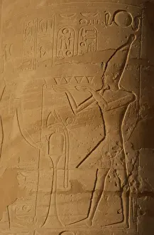 Lotus: Ramesseum. Relief depicting the pharaoh making an offering t