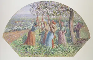 Grower: Rameuses de pois, by Camille Pissarro
