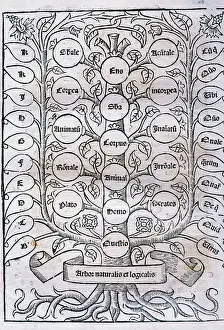 Nova: Ramon Llull (1232-1315). Majorcan writer and philosopher. De