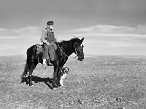 Pennington: Rancher - herding - sheep - livestock