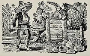 Sparrowhawk: The rancher and the sparrowhawk. Engraving