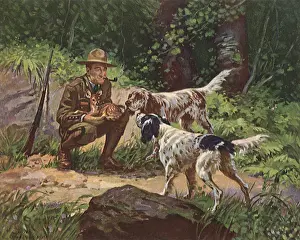 Enforcement: Ranger, Dogs and Fawn