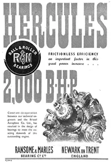 Marles: Ransome & Marles Bearings