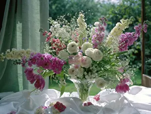 Ranunculus: Ranunculus, Stocks, Gypsophila etc