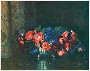 Arranged: Ranunculus and Violets