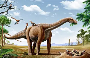 Conifer: A Rapetosaurus feeding on leaves with Rahonavis on its back