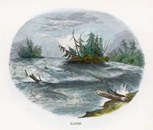 Whimper: RAPIDS (WHIMPER)