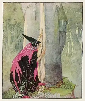 Briar: RAPUNZEL/BRIAR ROSE