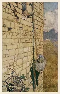 Rapunzel - Climbing Hair