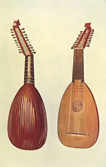 Convex: Rare Italian Lute