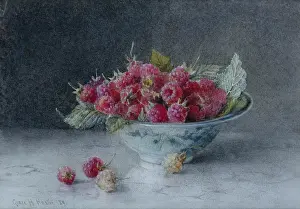 Raspberries: Raspberries ' in a blue and white china bowl