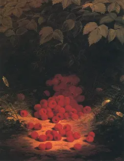 Raspberries: Raspberries on Ground