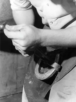 Rasping: RASPING A HOOF