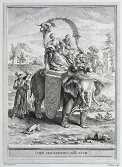 1755: The rat and the elephant