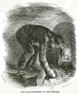 Sewers: RATCATCHER IN SEWER 1860s
