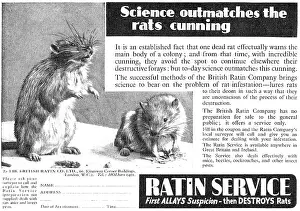 Ratin: Ratin. Rat & Mouse Control Service