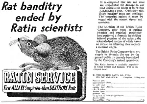Ratin: Ratin. Rat & Mouse Control Service