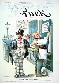 Repeal: A rational law, or - Tammany