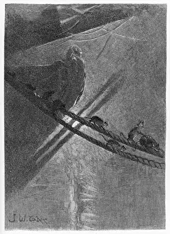 Superstition: Rats Leaving a Ship