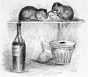 Larder: RATS / SYRUP & JAM 1904