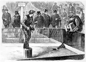 Ratting: RATTING AT A DOG SHOW