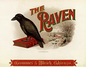 Raven: The Raven
