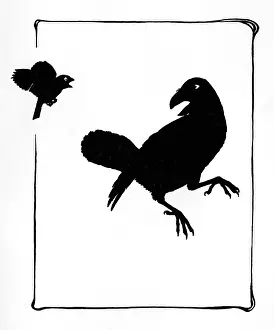 Crust: The raven refuses to help Jack Sparrow
