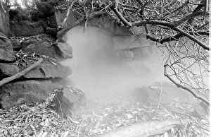 Ravenscroft: Ravenscroft (Cleddon Hall), cave in garden