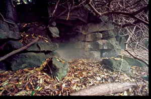 Ravenscroft: Ravenscroft (Cleddon Hall), cave in garden