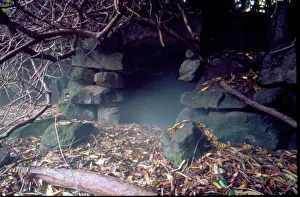 Ravenscroft: Ravenscroft (Cleddon Hall), cave in garden
