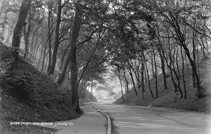 Winding: The Ravine