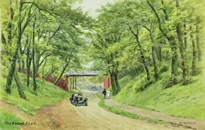 Filey: The Ravine, Filey, North Yorkshire