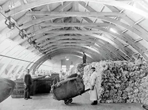 Sorted: Raw wool being sorted at a woollen mill in Bradford