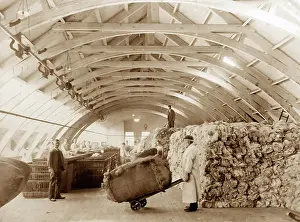 Sorted: Raw wool being sorted at a woollen mill in Bradford