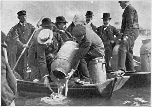 Anglers: Re-stocking salmon in the River Thames 1901