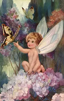 Closer: Reaching for Butterfly