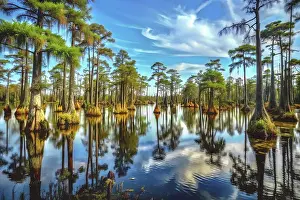 Stocktrek Images: A realistic landscape from the Cretacous period