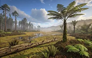 Paleobotany: A realistic landscape from the Jurassic period