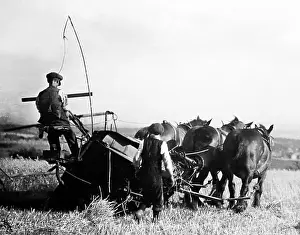 Reaping: Reaping in 1926