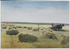 Reaping: REAPING, CANADA