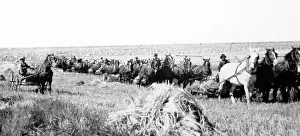 Prairies: Reaping on the Prairies, Canada